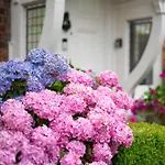 5 Bed In Oc-sa871 Tatil Evi Scalby (North Yorkshire)