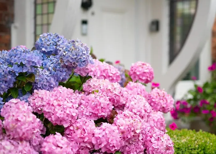 Holiday home 5 Bed In Oc-sa871 Scalby (North Yorkshire)